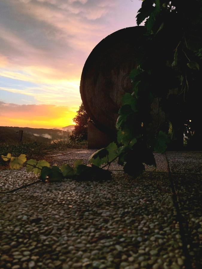 Zerko Holiday Home - Vineyard Chalet With Sauna And Jacuzzi Free Mirna Εξωτερικό φωτογραφία