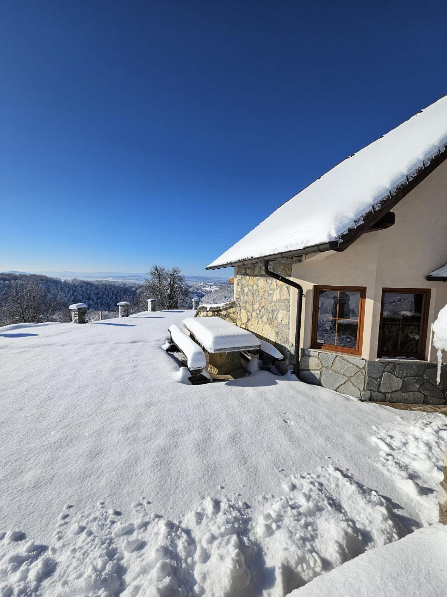 Zerko Holiday Home - Vineyard Chalet With Sauna And Jacuzzi Free Mirna Εξωτερικό φωτογραφία