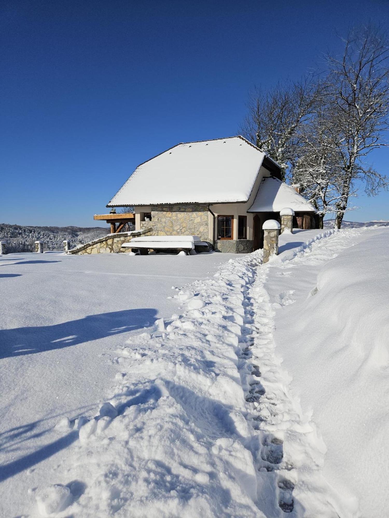 Zerko Holiday Home - Vineyard Chalet With Sauna And Jacuzzi Free Mirna Εξωτερικό φωτογραφία