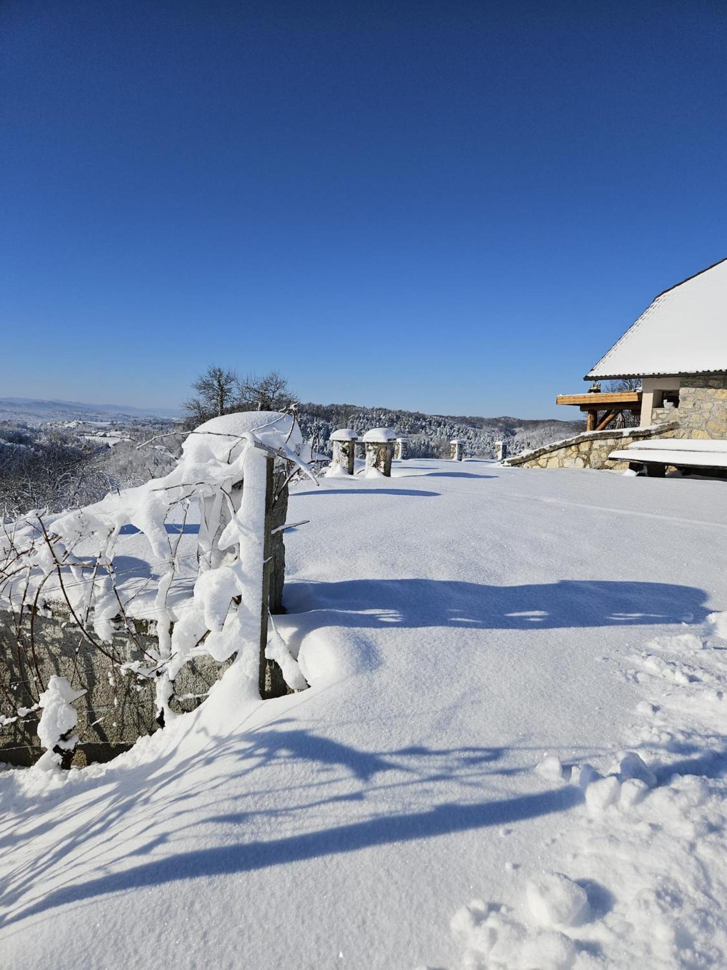 Zerko Holiday Home - Vineyard Chalet With Sauna And Jacuzzi Free Mirna Εξωτερικό φωτογραφία