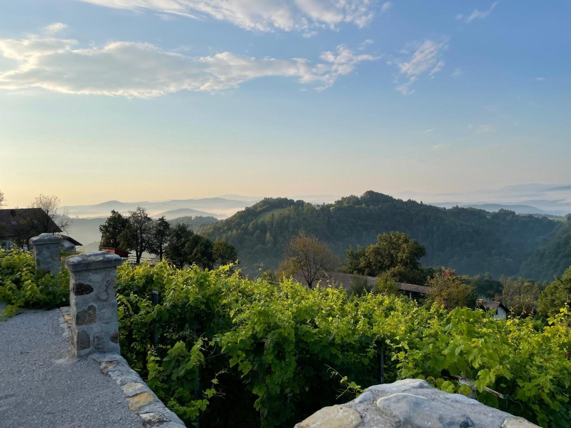 Zerko Holiday Home - Vineyard Chalet With Sauna And Jacuzzi Free Mirna Εξωτερικό φωτογραφία