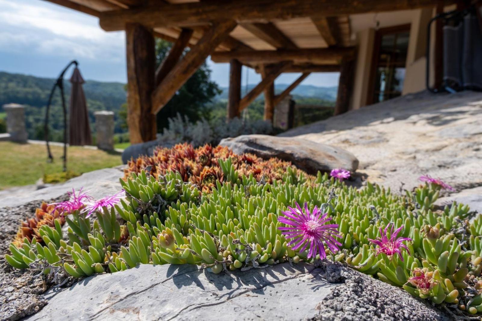 Zerko Holiday Home - Vineyard Chalet With Sauna And Jacuzzi Free Mirna Εξωτερικό φωτογραφία