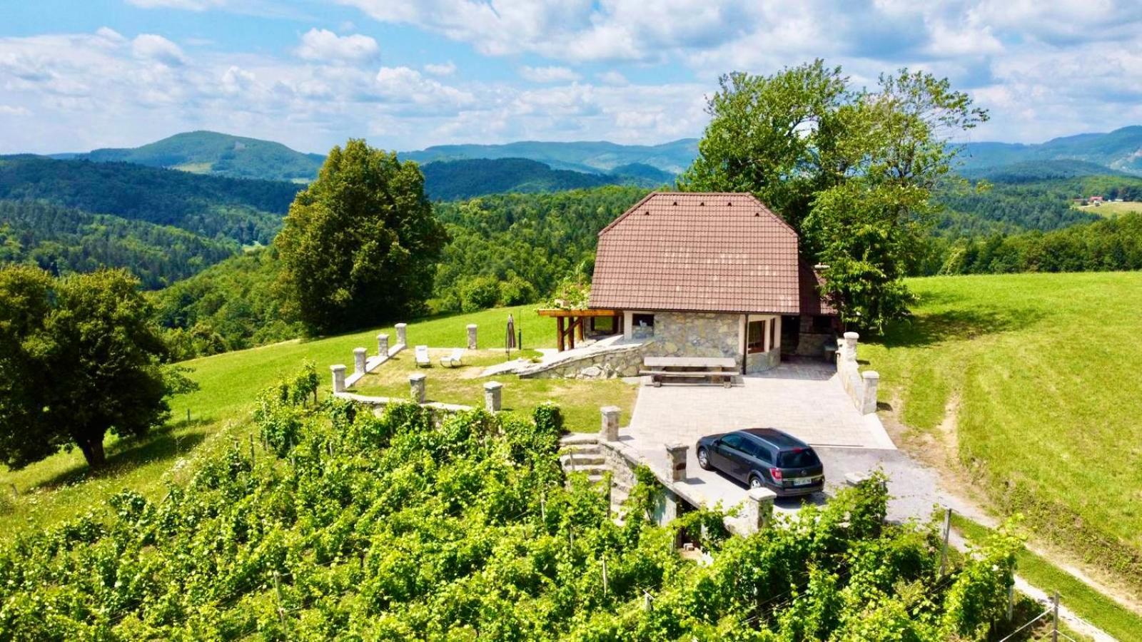 Zerko Holiday Home - Vineyard Chalet With Sauna And Jacuzzi Free Mirna Εξωτερικό φωτογραφία