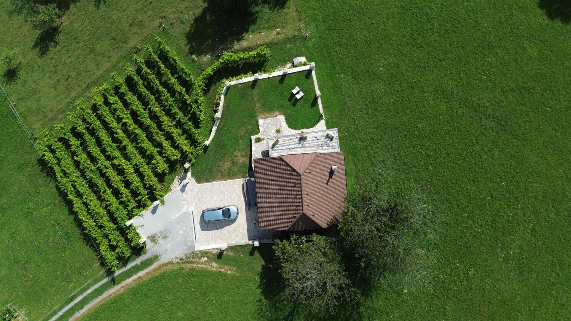 Zerko Holiday Home - Vineyard Chalet With Sauna And Jacuzzi Free Mirna Εξωτερικό φωτογραφία
